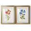 «Botanical I», ensemble de 2 reproductions d'art-271774477-272082547-272082548