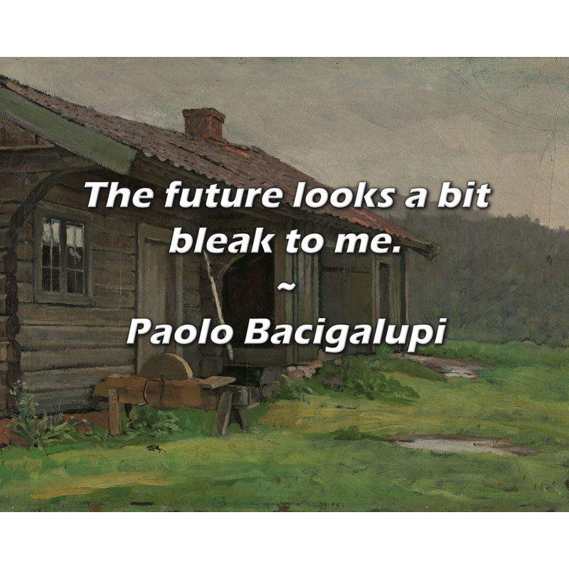 Paolo Bacigalupi Citation: L'avenir me semble un peu sombre.