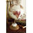 Mango Wood Educational/Geographic Earth Cream Globe