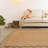 Venus Jute Rug-126048938-126048943