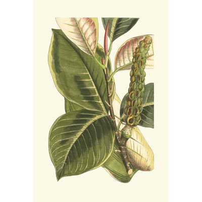 Fantastical Botanical IV by Curtis - Wrapped Canvas Art Prints