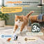 Balle pour chat à détecteur de mouvement automatique pour chats d'intérieur avec 4 sons, 3 modes de vitesse, roulement rapide, lumière clignotante, activation par mouvement et 2 recharges de plumes.