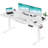 ONE PIECE Height Adjustable Standing Desk With Memory Smart Panel Office Electric Standing Computer Desk With USB Charge-1060843607-1060843552