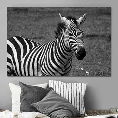 " Zebra On The Pairy "