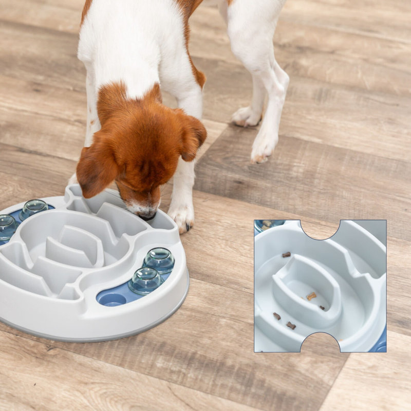 Trixie, jeu de stratégie de glissade et d'alimentation, jouet pour chien débutant, activité de niveau 1, casse-tête
