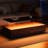 Modern Led Lights Coffee Table, 47.2" Rectangular With Double Storage Table In Warm Walnut 2 Drawers-1910599788-1910599779