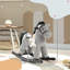 Kids Rocking Horse