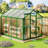 Greenhouse For Outdoors, Aluminum Greenhouse With Quick Setup Structure And Roof Vent-110353901-120880997