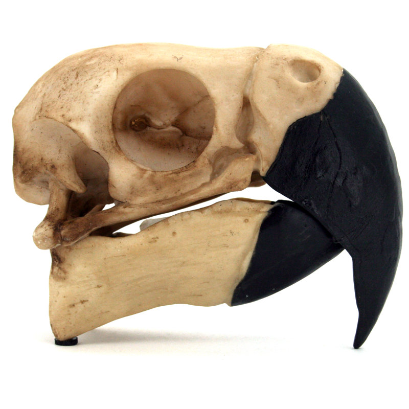 Halloween Decorative Accent