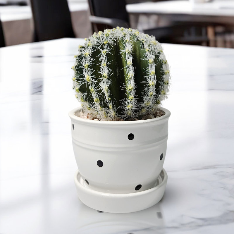 Cactus artificiel en pot en céramique blanche, décor de mini cactus 5 po