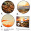 Silhouette orange, Cactus, lever de soleil - Cactus, art mural-1878149802-1878149807