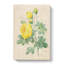 The Yellow Roses by Pierre-Joseph Redoute - Wrapped Canvas-55358599