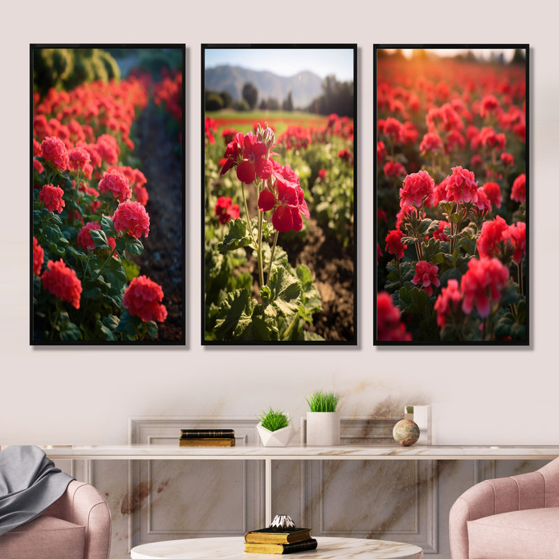 Photo Og Geraniums Field - Geraniums Wall Art, ensemble de salon de 4, Cadre flottant noir, H 40 po x l 60 po
