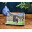 Woodbury Horizontal Photo Block-46245592