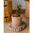 Indoor / Outdoor Pot Planter-376627250
