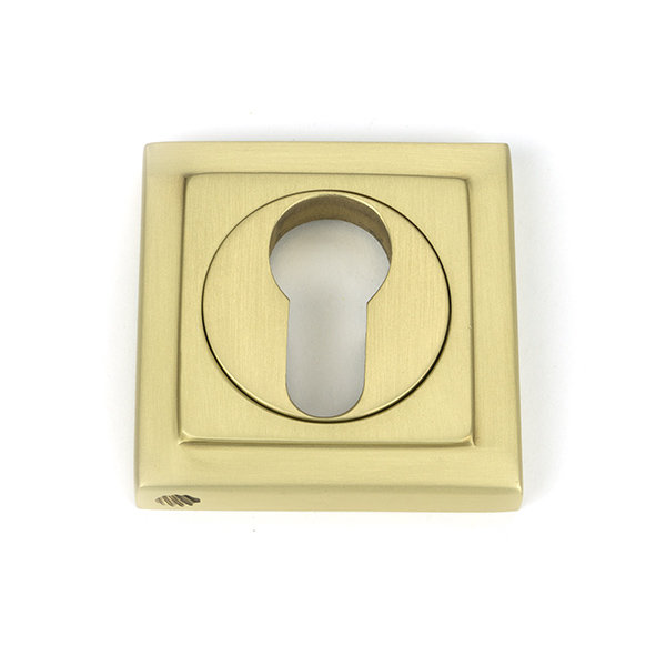 Concealed Satin Brass Round Euro (Square) Escutcheon