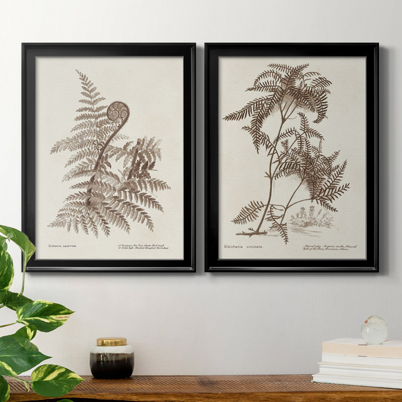 Sépia fougères variétées I - ensemble de 2 impressions encadrées sur toile, H 24,5 po x l 18,5 po x P 1,25 po, Cadre noir