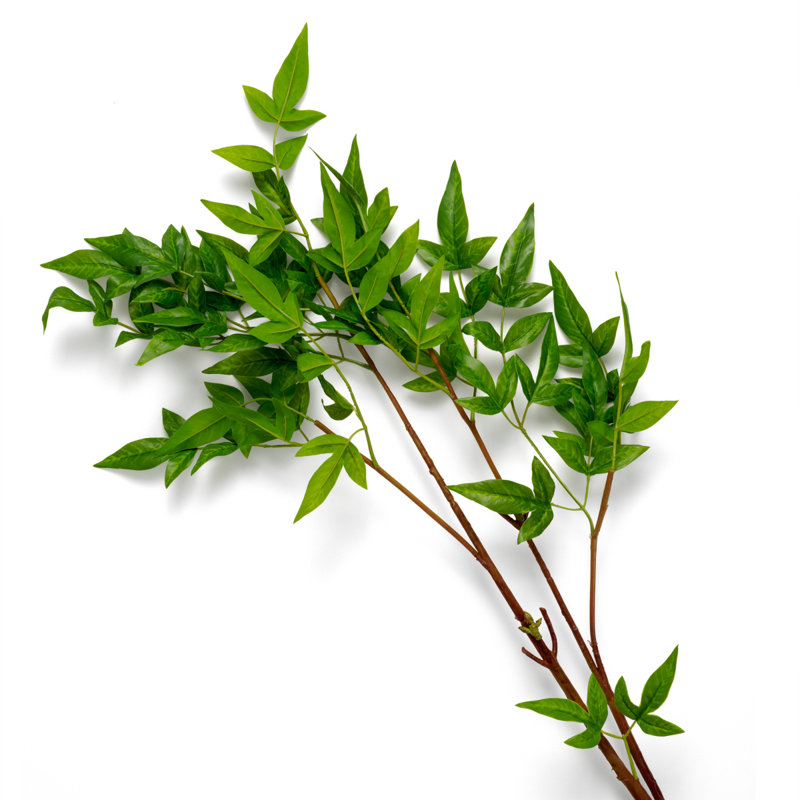 Faux Tender Plant