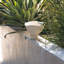 Lizzy Wavy Footed Bowl