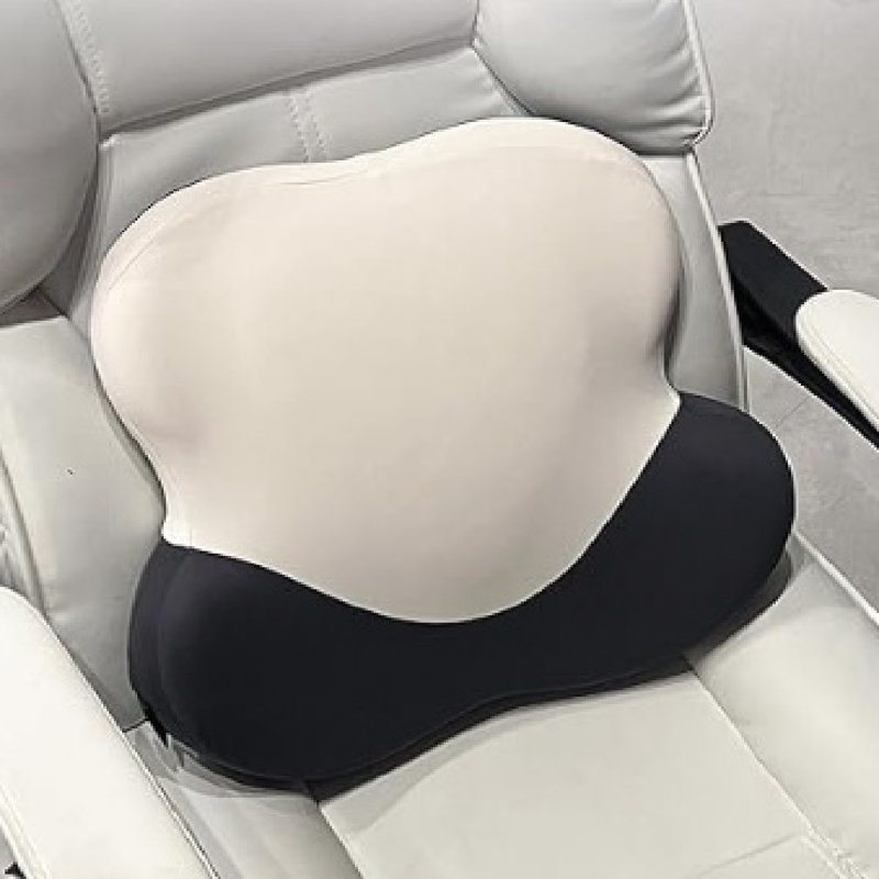 ARLINENS Back Support