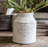 Sisson Metal Pot Planter