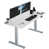 Whiteboard/Gray is unavailable