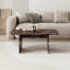Table basse haut de gamme, Rosso Marmo, 100 x 42 x 60 cm | Matériau : Panneaux de particules mélaminés (épaisseur : 1,8 cm)