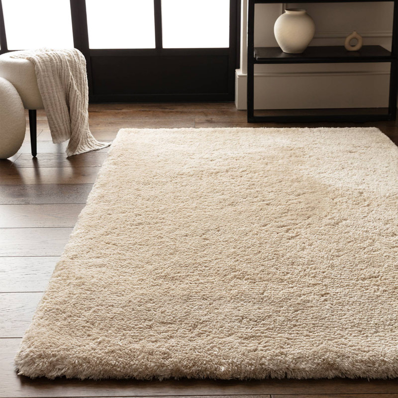 Tachiana Hand Tufted Shaggy Off White Area Rug, Rectangle 120 x 170 cm