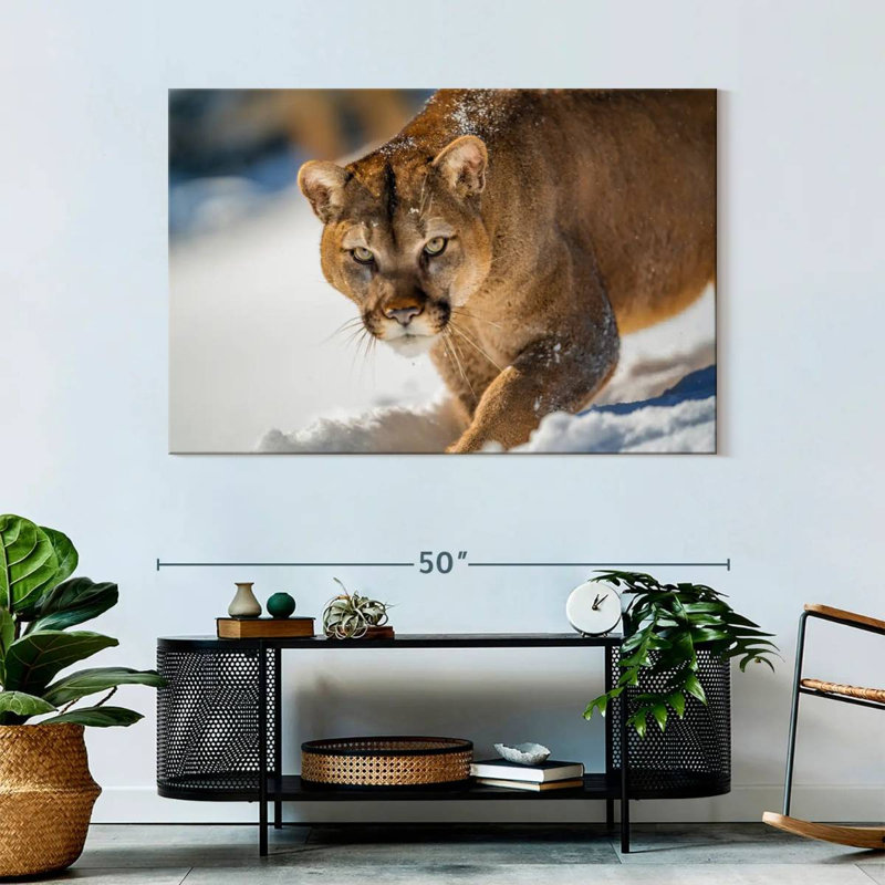 Brampt Cougar In Snow, 32" H x 48" W