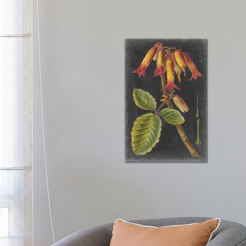 Dramatic Tropicals III by Vision Studio - Wrapped Canvas Painting, 66.04 cm H x 45.72 cm W x 3.175 cm D