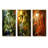 Bamboo Sunset Photography-1309211480-1309211481