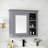 Beerbohm Medicine Cabinet-1369907202
