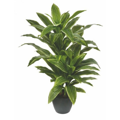 42'' Faux Yucca Plant in Planter