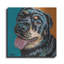 "Rottweiler" par Carolee Vitaletti-1238274609