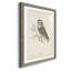 Little Owl Premium encadré mat - prêt à accrocher-1174590309-1174590365