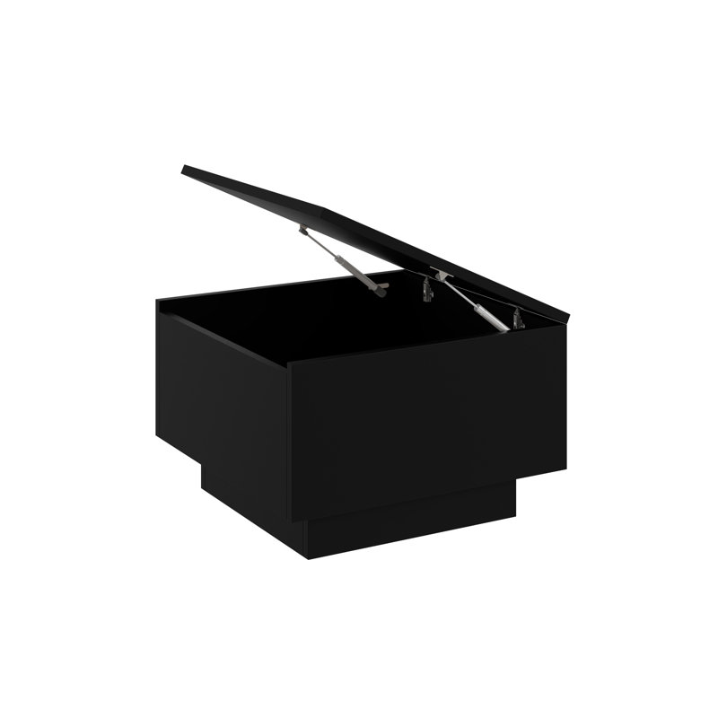 Coffee Table Caoilainn with Storage Compartments, Black, 40cm H x 60cm L x 60cm W