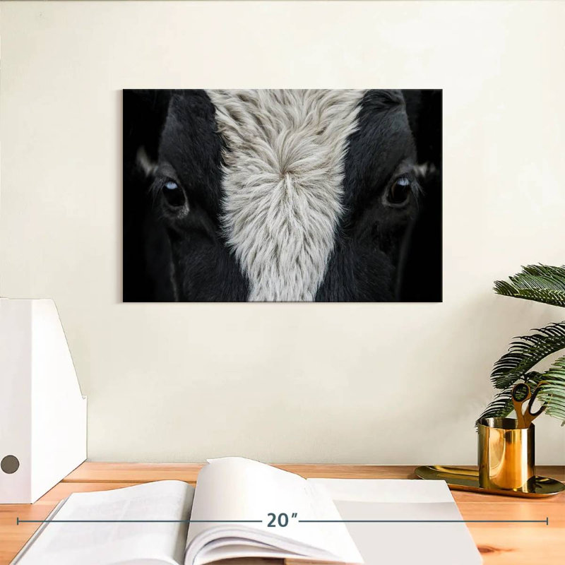 Brampt Cow Eyes, 8" H x 12" W