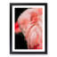Pink Flamingo - Picture Frame Painting Print-55583964-55583969