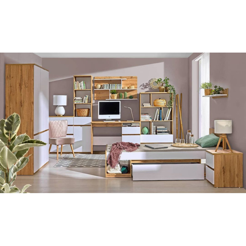 Layliah 2 Door Solid + Manufactured Wood Wardrobe