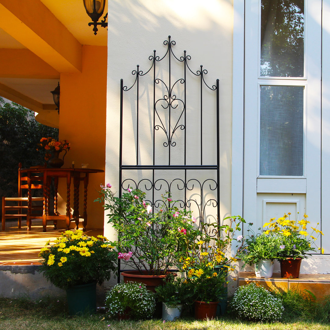 Abdikarim 70.8'' H x 25.6'' W Iron Lattice Panel Trellis Darby Home Co