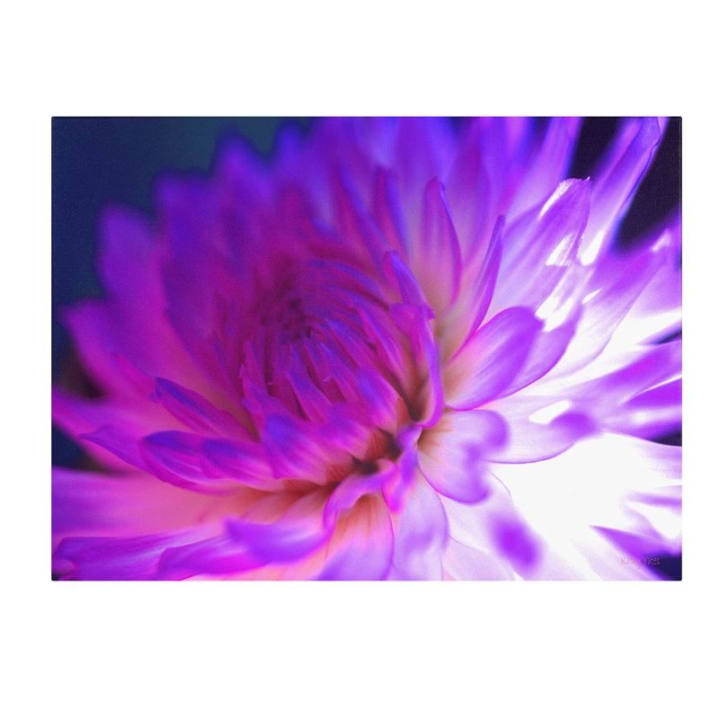 Kathy Yates - Photograph on Canvas, 30'' H x 47'' W x 2'' D