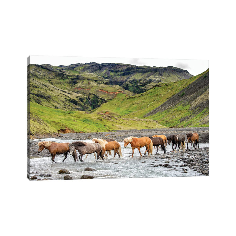 Collection Of Horses II by PHBurchett - Wrapped Canvas Print, 30.48 cm H x 45.72 cm W
