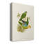 «Lime & Cerulean Parrots I», toile tendue avec châssis de qualité supérieure - prête à être accrochée-1916681912