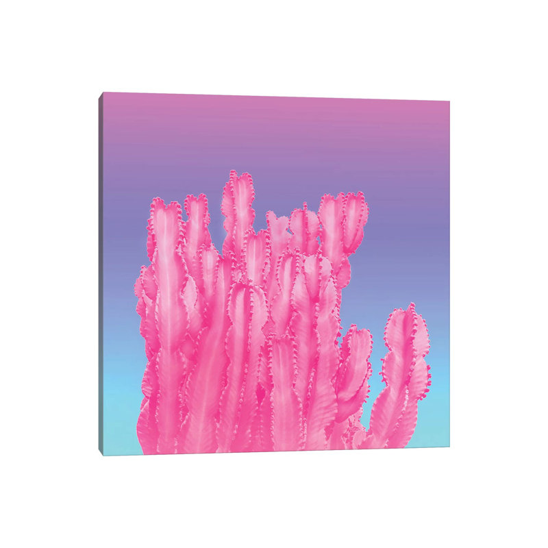 Pink Cactus Succulent by Beli - Wrapped Canvas Print, 30.48 cm H x 30.48 cm W
