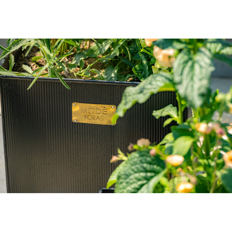 Hatsu Metal Planter Box, 52cm H x 52cm W x 52cm D