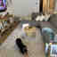 Photos des clients 1 de 1