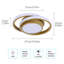 Modern 27cm Gold Round LED Ceiling Light