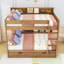 Lit superposé élégant en bois avec tablettes de rangement intégrées et lit gigogne escamotable-1252039097-1252039101
