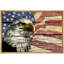 Effet de bois Grain Drapeau américain Aigle à tête blanche Nature Paysage Illustration Maison de campagne-100707503-100707504