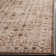 Tuthill Performance Oriental Rug